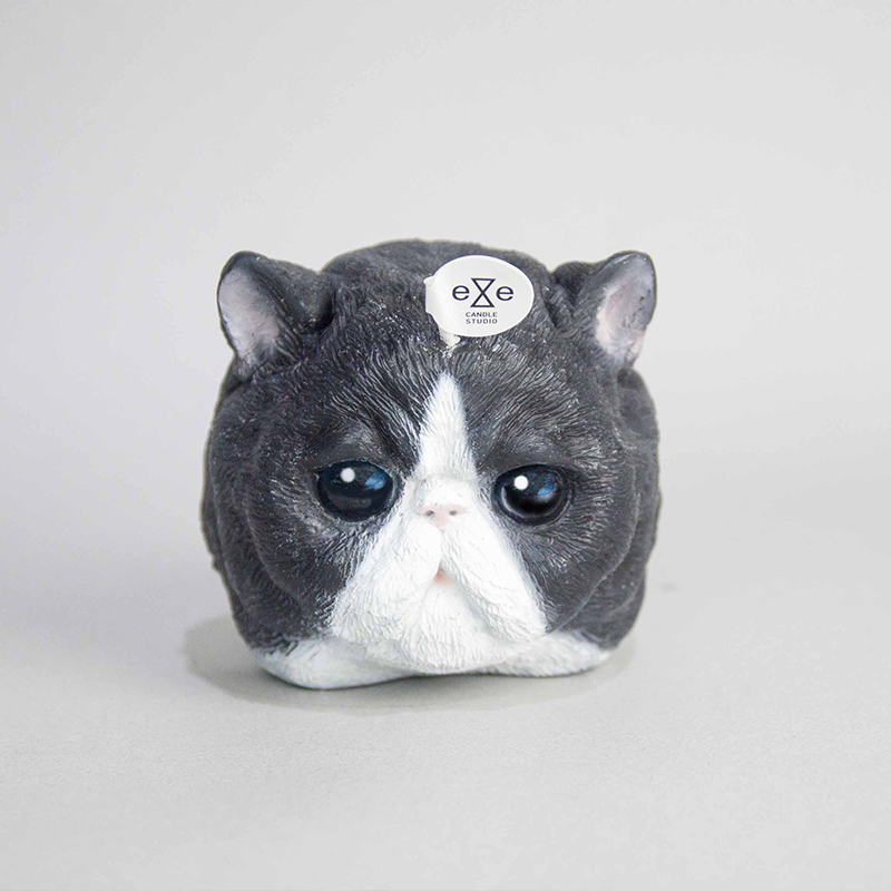 Persian Cat Candle Black And White Twowgo